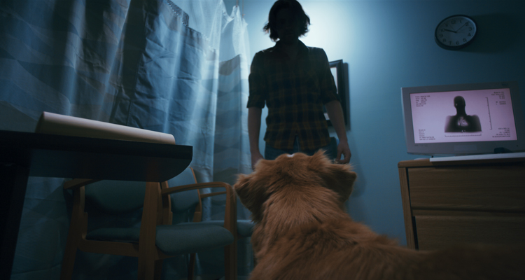 Good boy Ben Leonberg